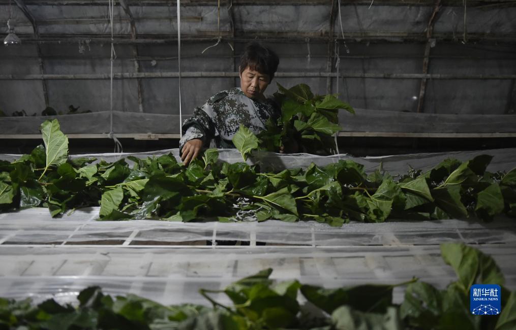 官方永利开户送体验金